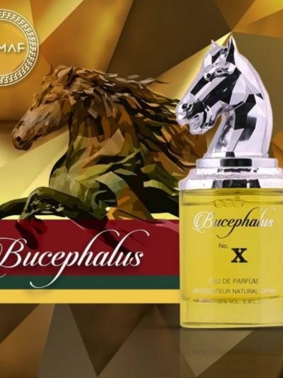 parfum armaf bucephalus x
