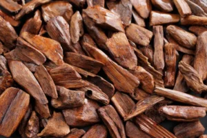 Lemn de Santal, Sandal Wood