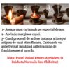 Tamaie dubai aromas