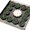 White Sage Incense Resin